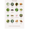 Atomy Herbal Shampoo *1EA